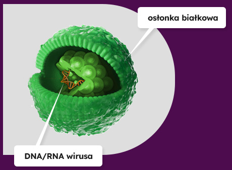 neosine forte