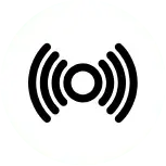 Sonic Icon