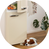 Image: Gorenje ONTR Gorenje ONTR