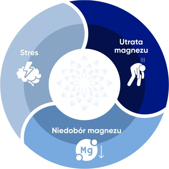 niedobór magnezu może wzmagać stres niedobór magnezu może wzmagać stres