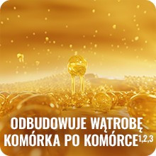 Wzmocnienie i regeneracja wątroby przez lek Essentiale Forte Wzmocnienie i regeneracja wątroby przez lek Essentiale Forte