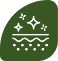 Ikona