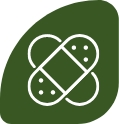 Ikona