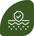 Ikona