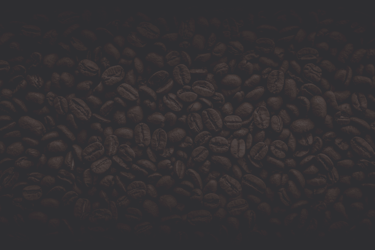 img-serp-1-bg img-serp-1-bg.png
