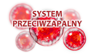 BioMarine Medical odporność w grypie i infekcjach wirusowych, żywienie w radioterapii i chemioterapii