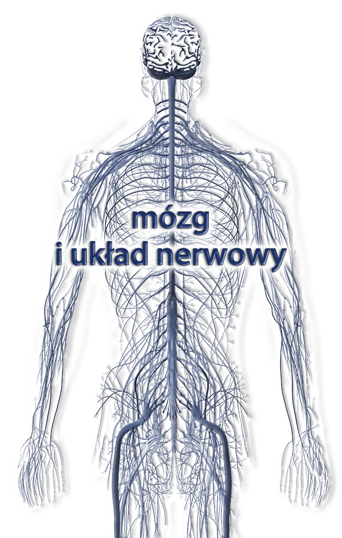 BioMarine Medical odporność w grypie i infekcjach wirusowych, żywienie w radioterapii i chemioterapii