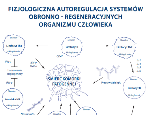 BioMarine Medical odporność w grypie i infekcjach wirusowych, żywienie w radioterapii i chemioterapii