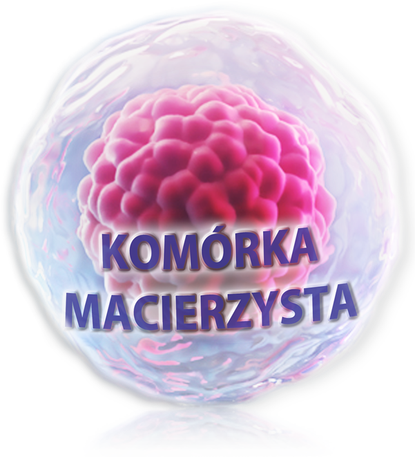 BioMarine Medical odporność w grypie i infekcjach wirusowych, żywienie w radioterapii i chemioterapii