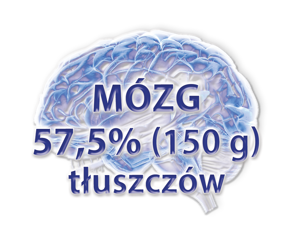 BioMarine Medical odporność w grypie i infekcjach wirusowych, żywienie w radioterapii i chemioterapii