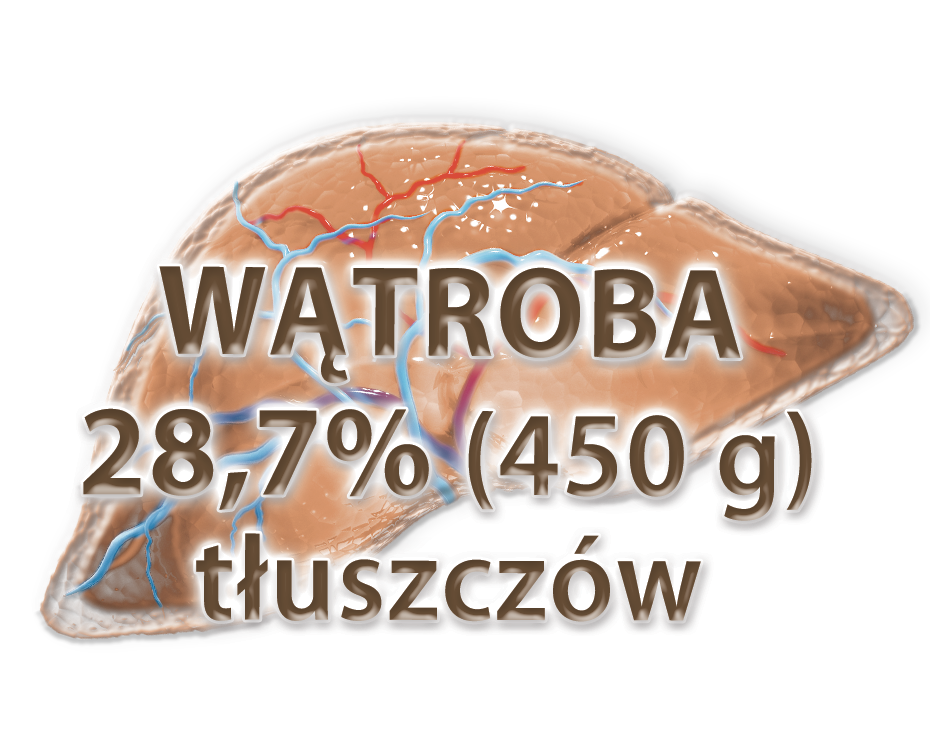 BioMarine Medical odporność w grypie i infekcjach wirusowych, żywienie w radioterapii i chemioterapii