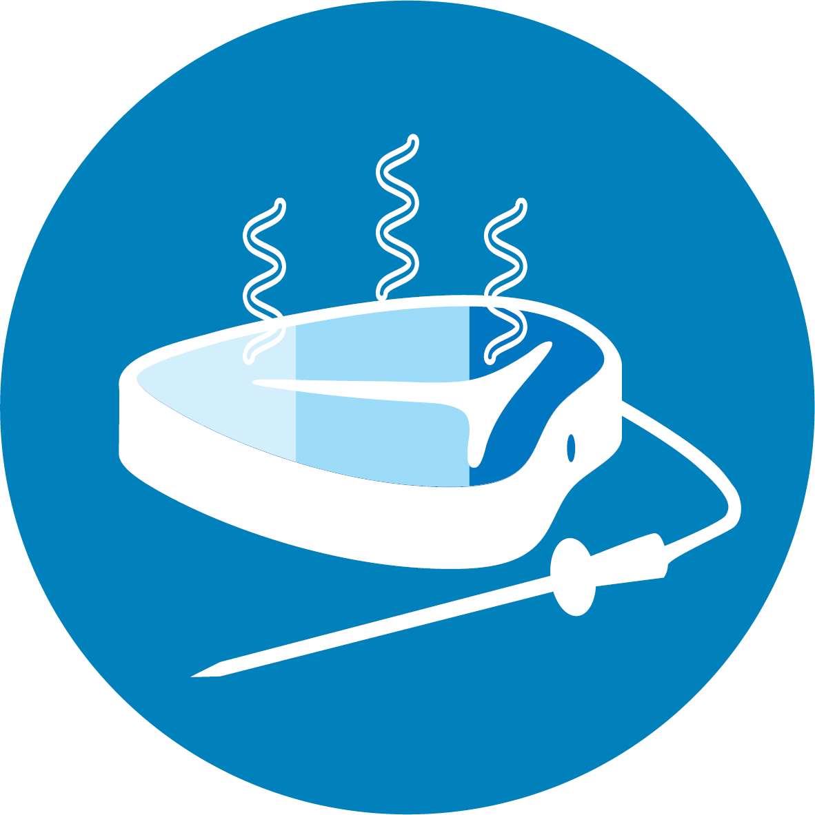 Termosonda CookSense