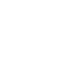 Ikona