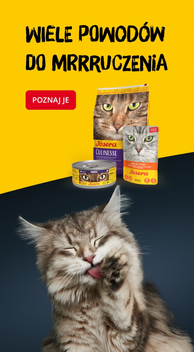 JOSERA SensiPlus (1 x 12,5 kg) | Hundefutter mit Ente für empfindliche