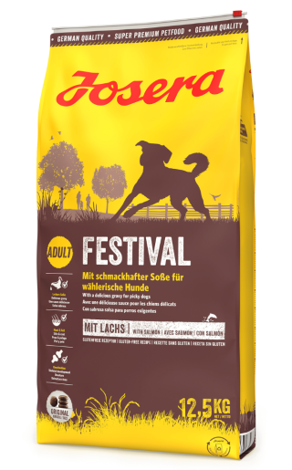 Festival