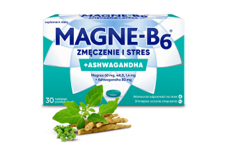 Sprawdź na Ceneo Magne-B6 Zmęczenie i stres