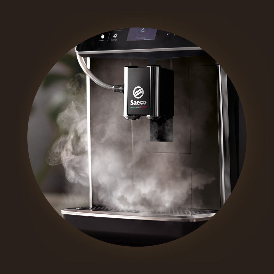 System automatycznego czyszczenia HygieSteam