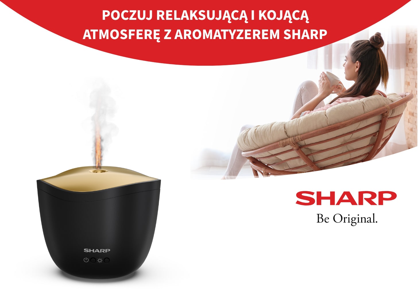 Aromatyzer Sharp DF-A1E-B - Opinie I Ceny Na Ceneo.pl