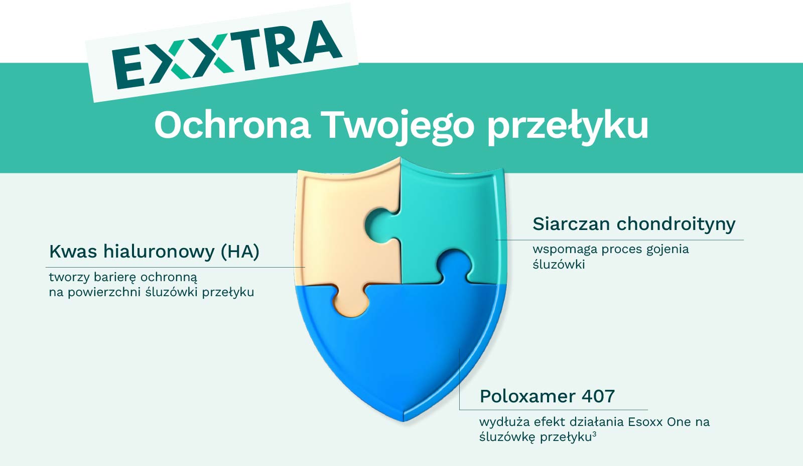 Ochrona Twojego Przeyłyku