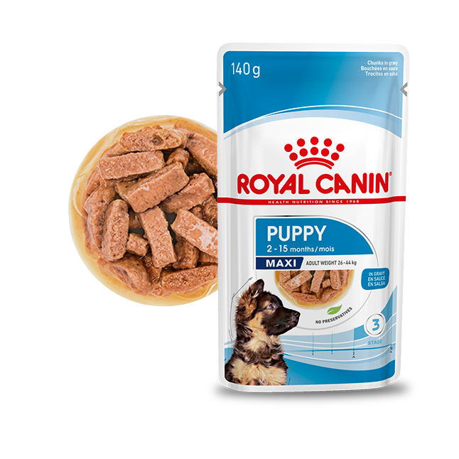 Karma Royal Canin Giant Junior 15kg - Ceny i opinie - Ceneo.pl