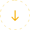 Program Program z aplikacji