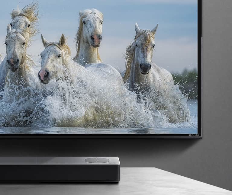Dolna połowa ekranu i połowa soundbara. Na ekranie telewizora są wyświetlone konie biegnące nad wodą. 