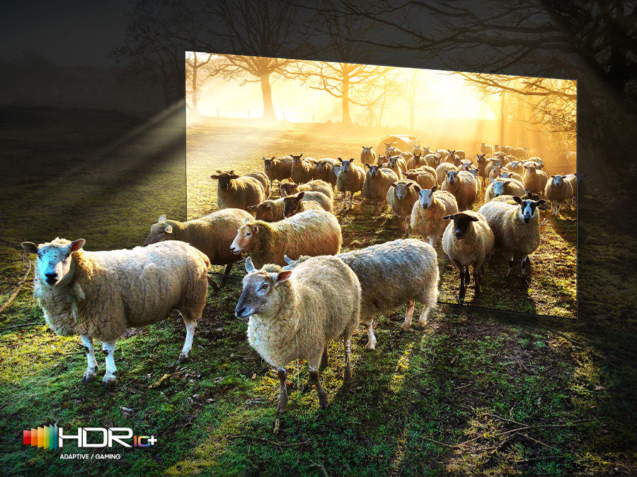 Idealny kontrast obrazu dzięki Neo Quantum HDR 4000 w nowych telewizorach Samsung. QN900BTXXH