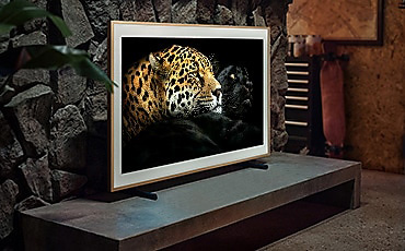 4. The Frame hanging on a wall. LS03BBUXXH