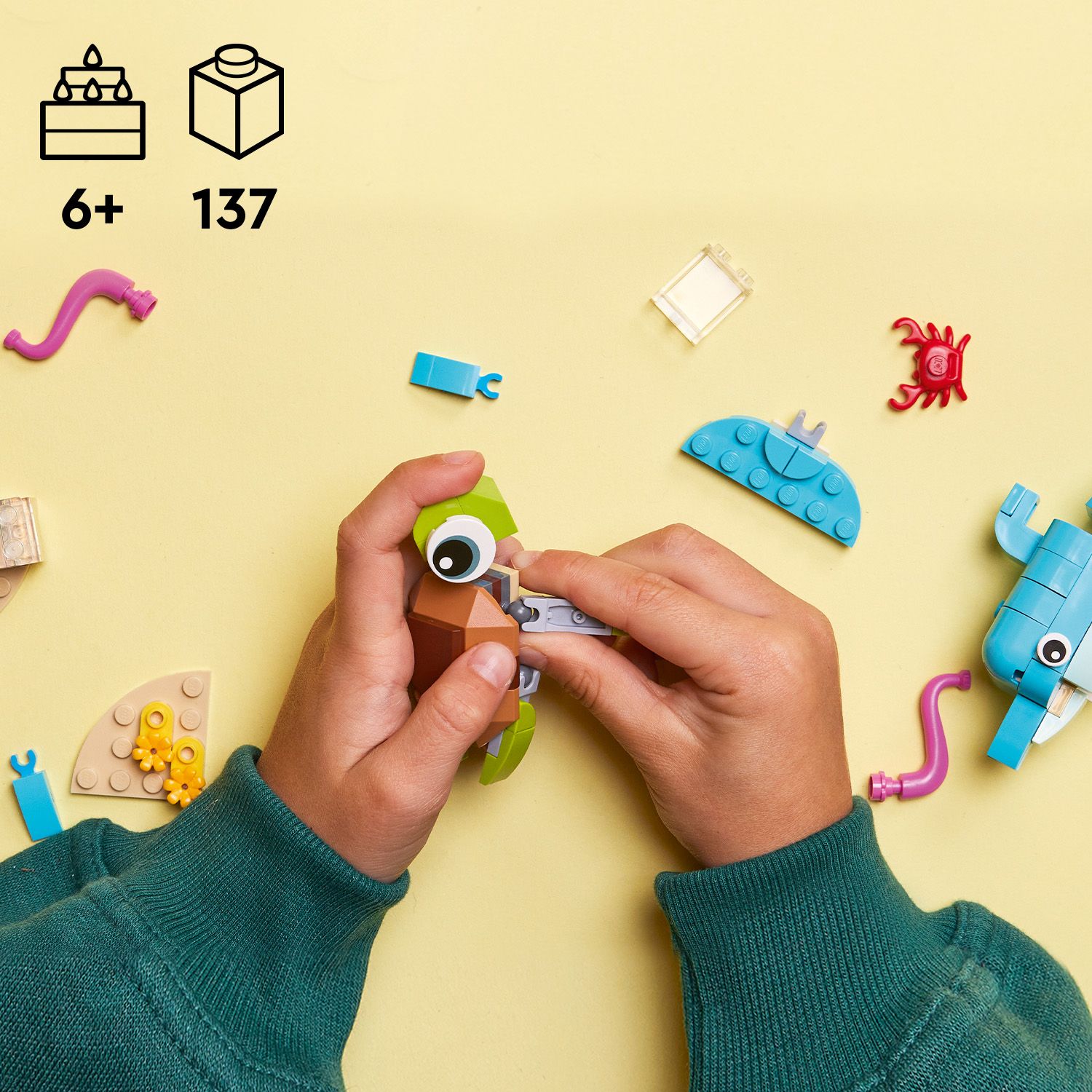 BLUE ルノツドイ Dziecięce Sandały COQUI YOGI 8861-692-5032 – Internetowy