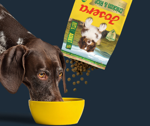 JOSERA Adult High Proteïne, zeevis (1 x 3 kg) | Premium droogvoer voor volwassen en sportieve honden | zalm & zoete aardappel | graanvrij & eiwitrijk | L-carnitine & taurine | 1 stuks JOSERA Adult High Proteïne, zeevis (1 x 3 kg) | Premium droogvoer voor volwassen en sportieve honden | zalm & zoete aardappel | graanvrij & eiwitrijk | L-carnitine & taurine | 1 stuks