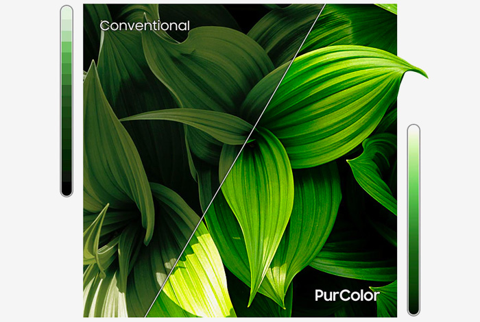 phpCTVkzD purcoloor