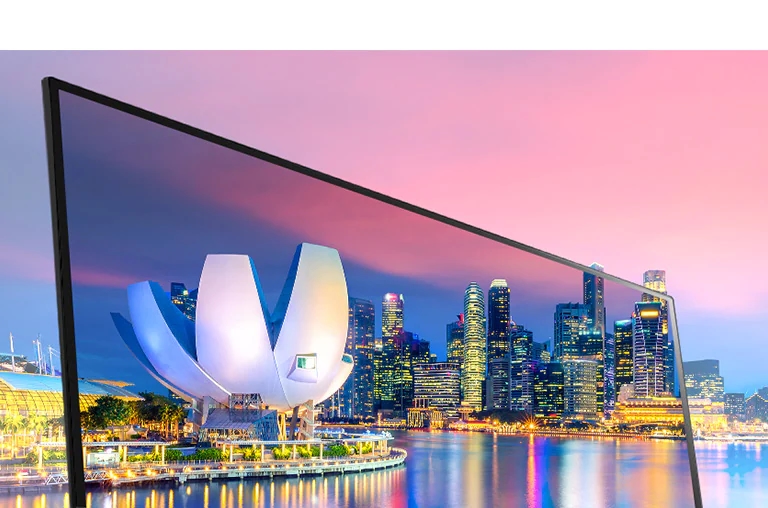 LG 29WL50S 29インチ フルHD IPSモニター Monitor LG 29” 21:9 UltraWide™ Full HD IPS LED 29WL50S-B