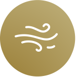 Ikona 7