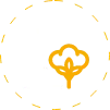 Program Mieszane