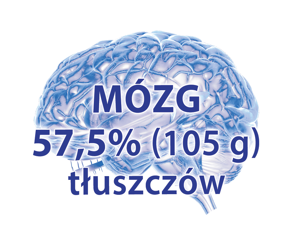 BioMarine Medical odporność w grypie i infekcjach wirusowych, żywienie w radioterapii i chemioterapii