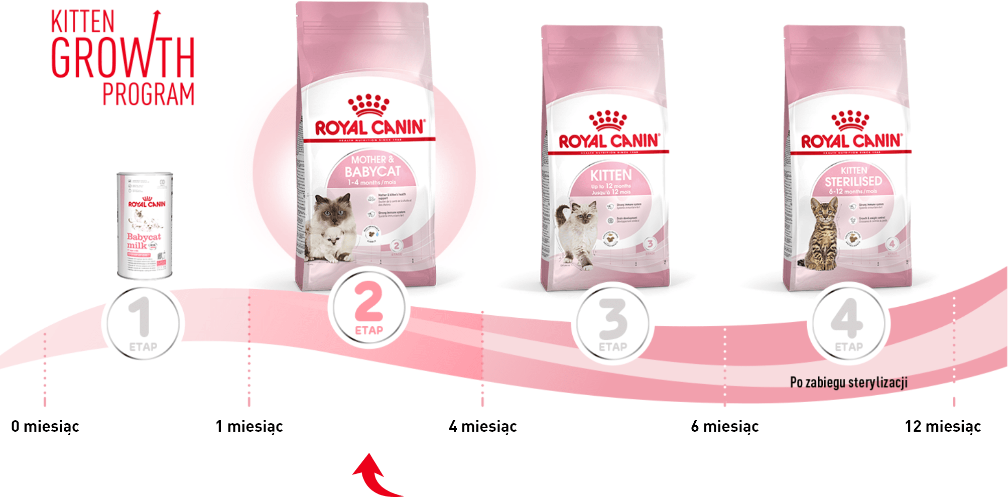 Royal canin mother cheap and babycat 10 kg