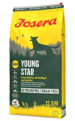 Youngstar