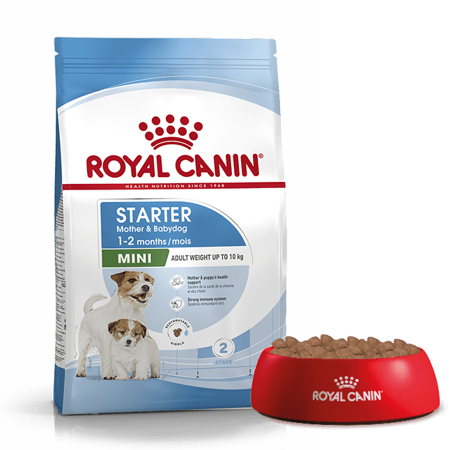 Karma Royal Canin Mini Starter Mother&Babydog 8kg - Ceny i opinie