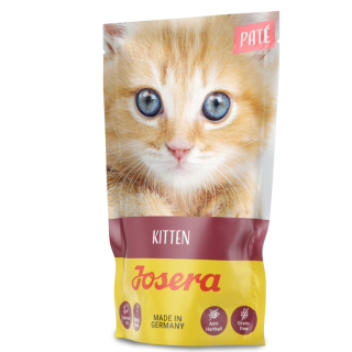 Paté Kitten